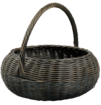  image of Blueberry Basket