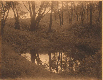 Forest Pool