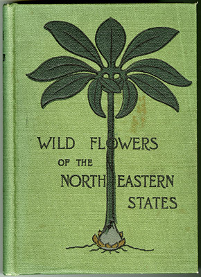 Cover of Wild Flowers of the North-Eastern States 