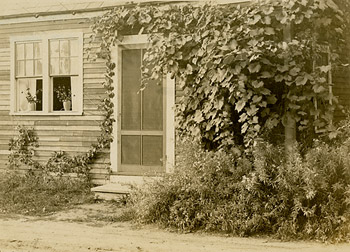 The Red Shop  