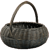 blueberry basket